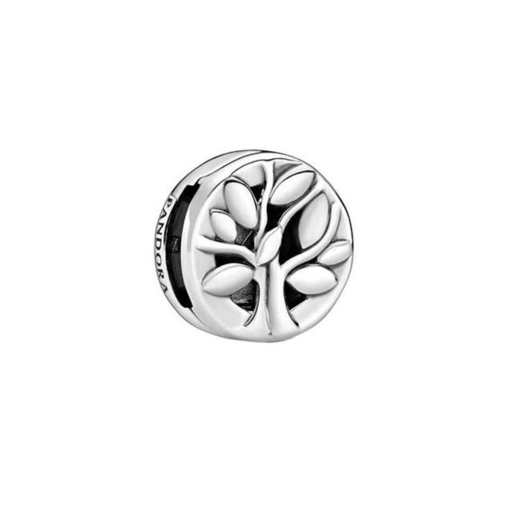 Pandora Reflexions Silver Clip Charm